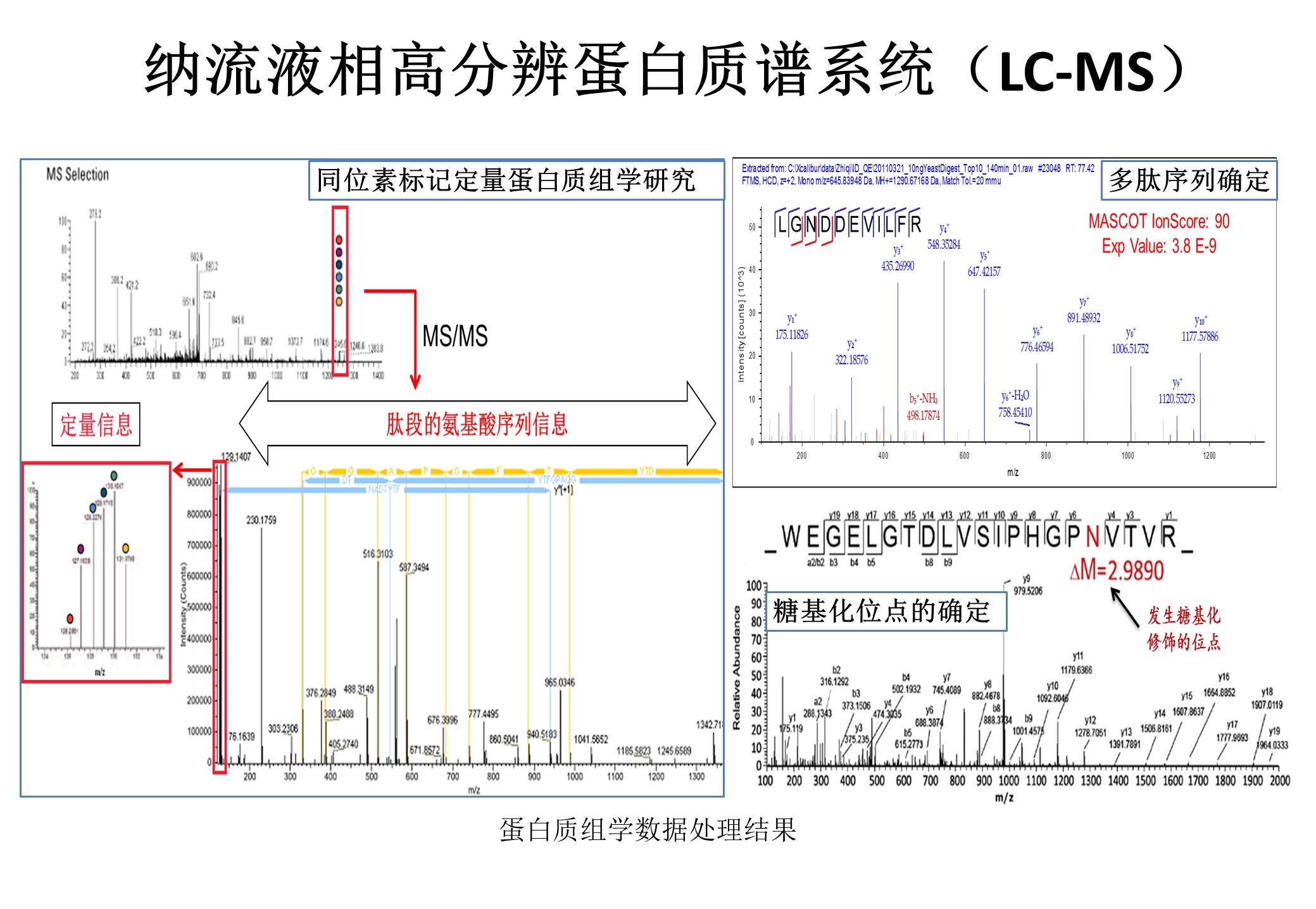 纳流液相高分辨蛋白质谱系统(lc-ms)